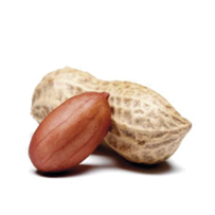 cacahuete