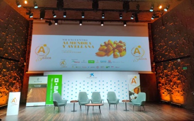 Maseto Technologies sponsors the Almendrave 2022 Meeting Cocktail