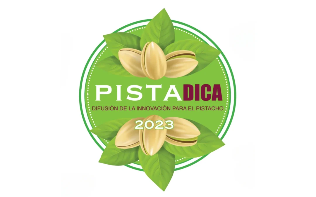Maseto Technologies en la primera edición de Pistadica